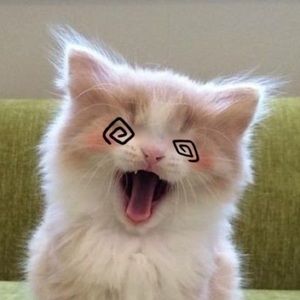 Meet your Posher, Natalia